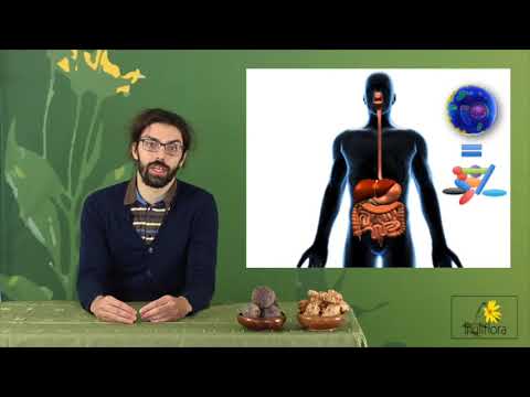 Capsule 3 - LA DIFFÉRENCE ENTRE PROBIOTIQUE ET PRÉBIOTIQUE