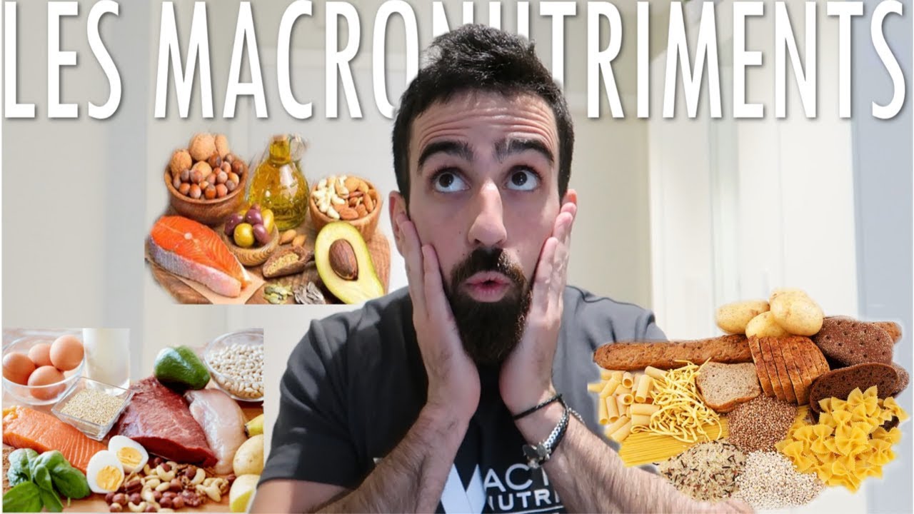 PROTÉINES, GLUCIDES ET LIPIDES | MIEUX COMPRENDRE L'ALIMENTATION