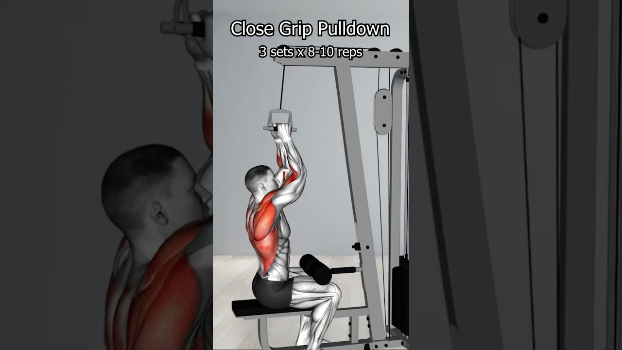 Les Meilleurs exercices pour le dos #musculation #workout #workoutmotivation #gym