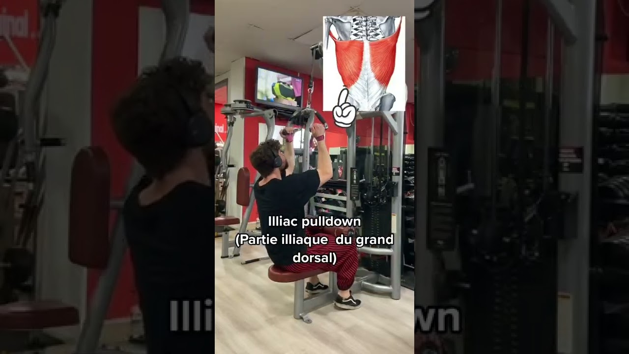 Les meilleurs exercices pour le dos !