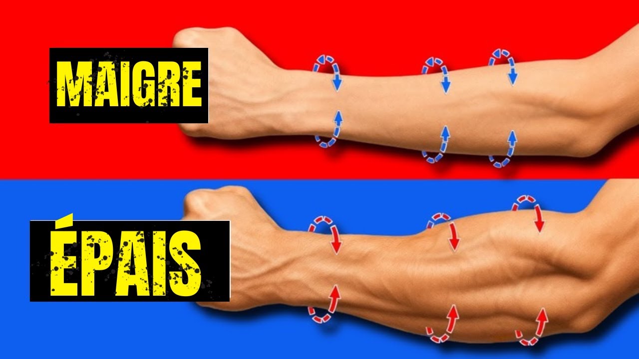 Seulement 2 EXERCICES pour avoir des AVANT-BRAS incroyablement gros !