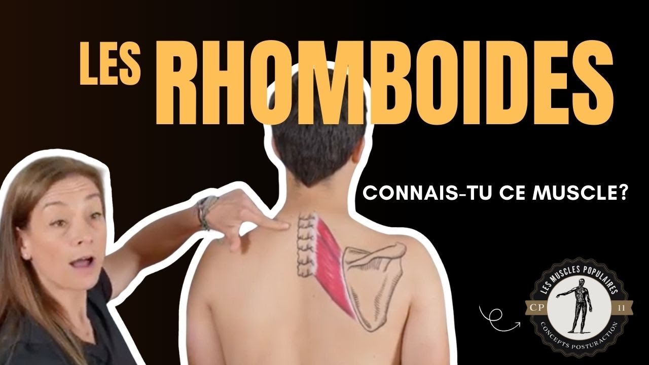 🧍 Rhomboïdes : Anatomie, Fonctions, Exercices & Astuces Posture 🔥 | Muscles du Dos