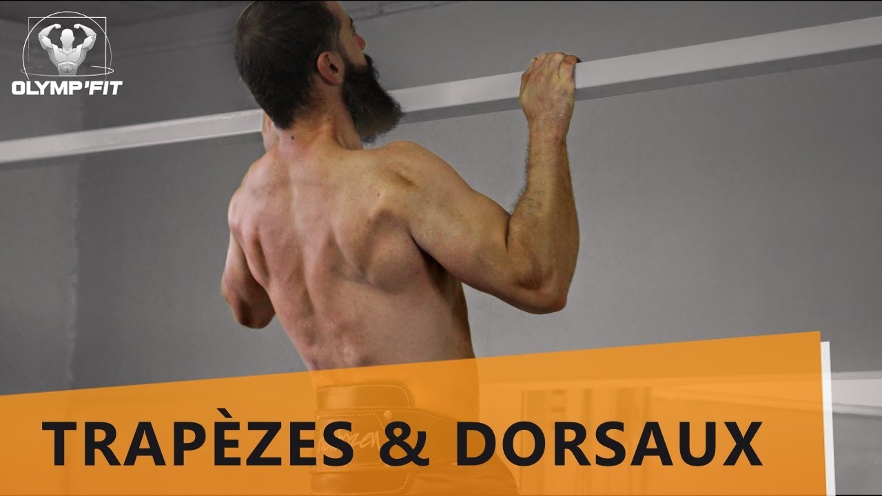 Anatomie et Entraînement du DOS et des TRAPEZES : Une approche fonctionnelle de la musculation