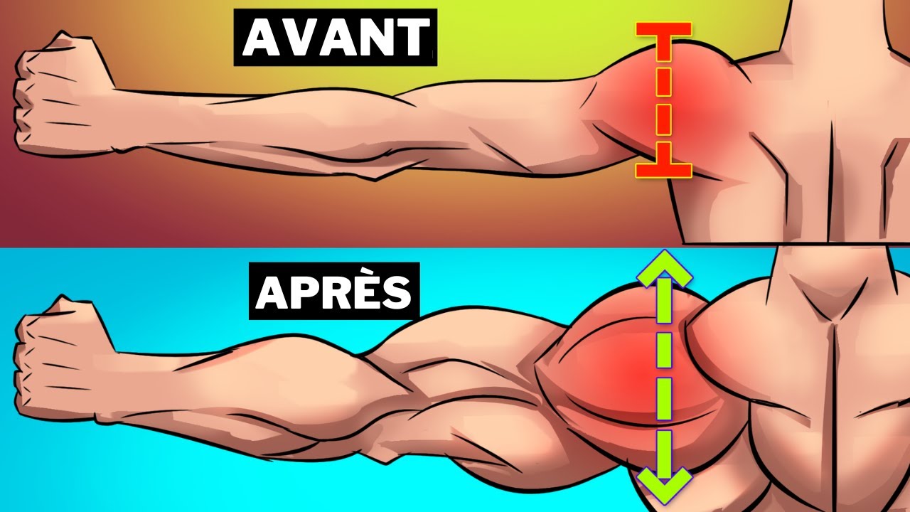 5 MEILLEURS Exercices Pour Avoir Des Épaules Plus larges RAPIDEMENT