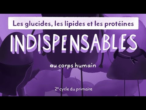 Les nutriments : indispensables au corps humain (2e cycle)