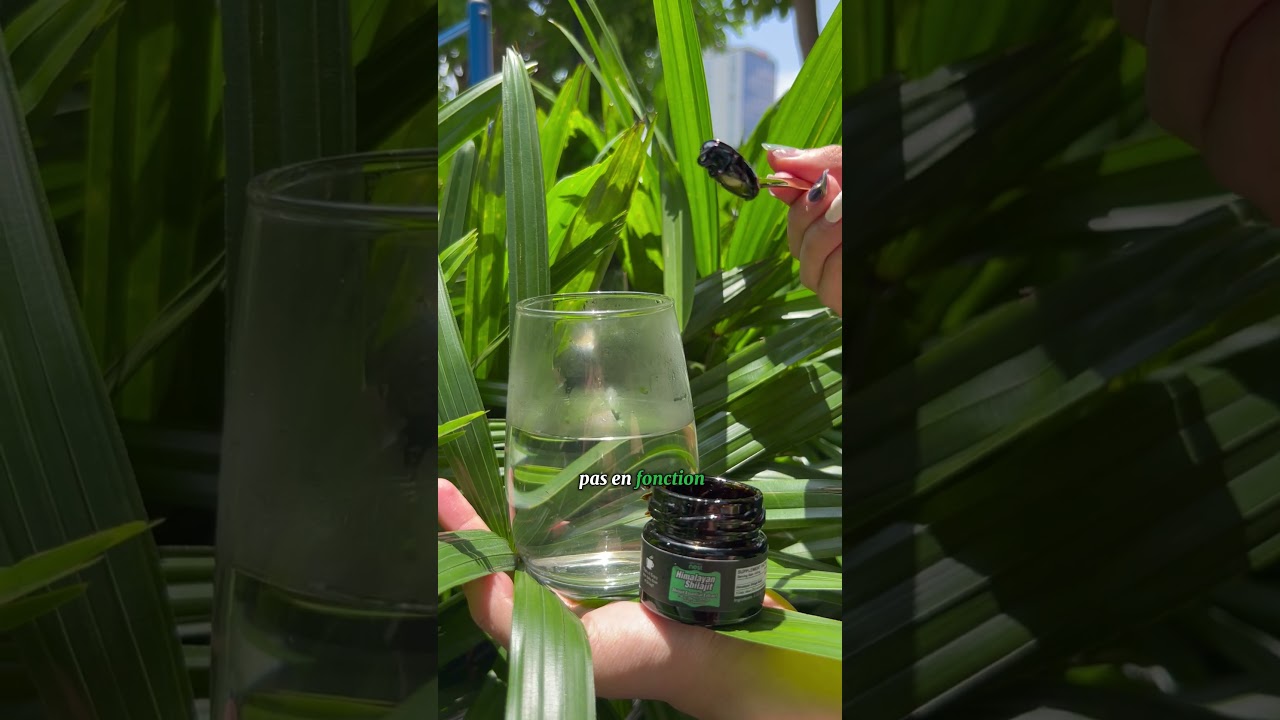 Vrai ou Faux Shilajit ? Comment Reconnaître l’Authentique  #shilajitbenefits